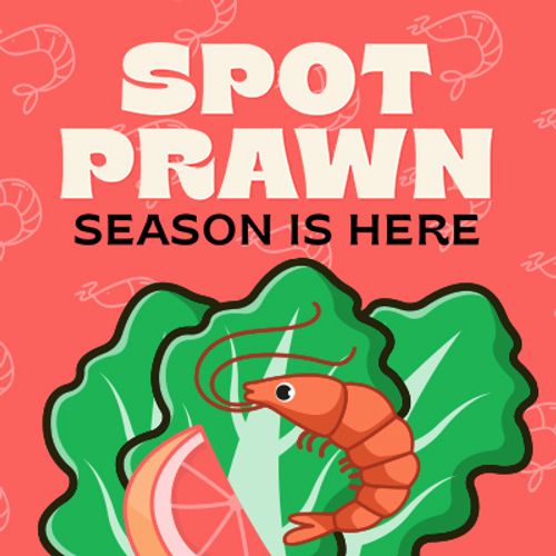 Spot Prawn Season